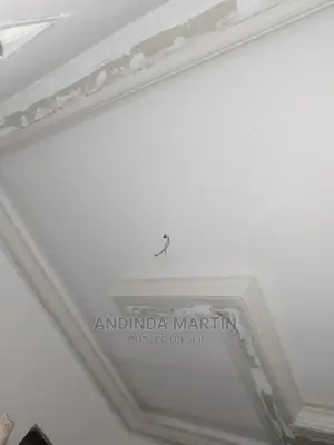 Gypsum Ceiling