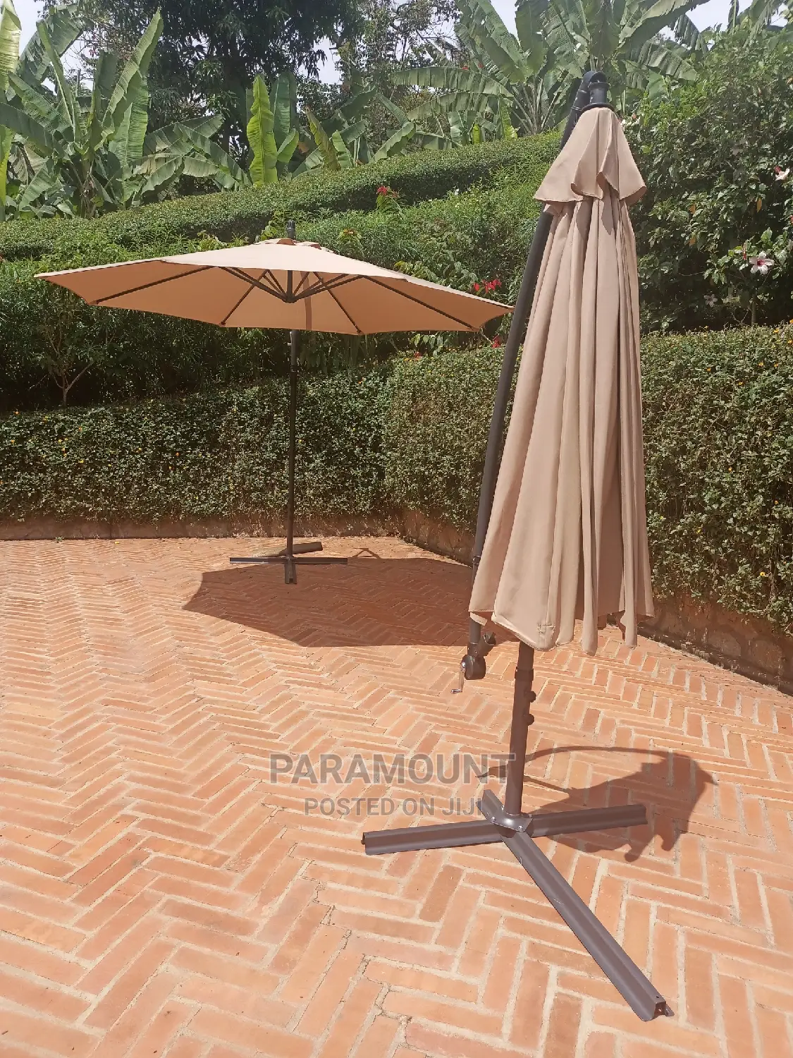 Compound and Garden Parasol Umbrellas