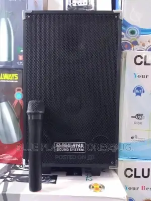 Globalstar Professional Audio Speaker Systems || L802.