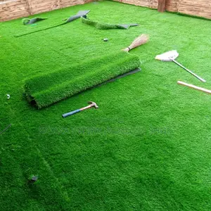 Grass Carpet Grass Carpet Grass Carpet Grass Carpet