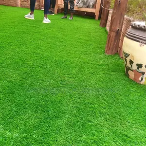 Grass Carpet Grass Carpet Grass Carpet Grass Carpet