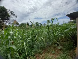 Land in Kira on Sell