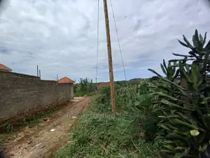 Kira Land for Fast Sell