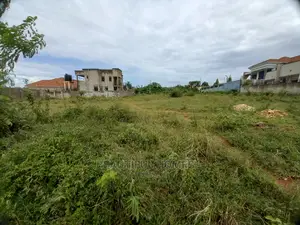 Kira at 100 *100 Wealthy Neighborhood