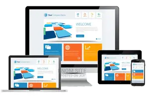 Professional Web Design Services