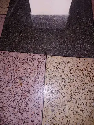 Terrazzo Floor Cathy