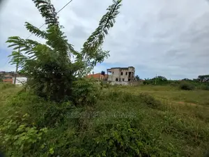 In Kira,Plot for Sell