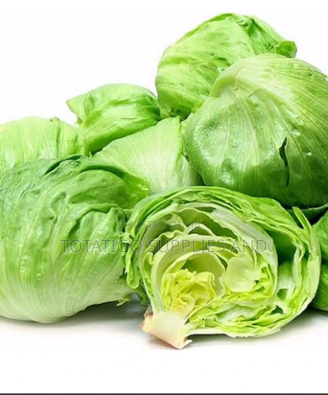 Lettuce Fresh-1pc