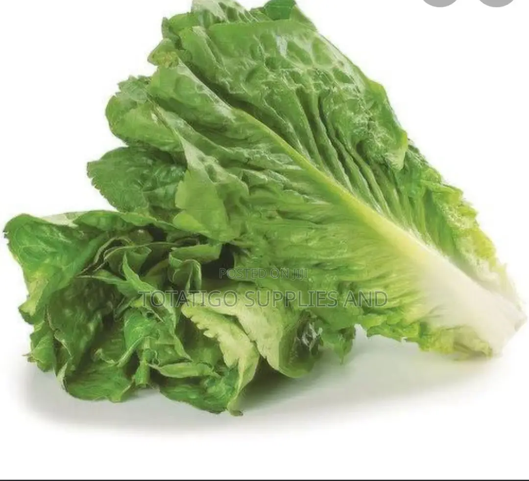 Fresh Romaine