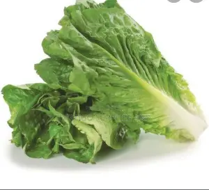 Fresh Romaine