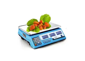 Electronic Market Place Computing Weighing Scales.
