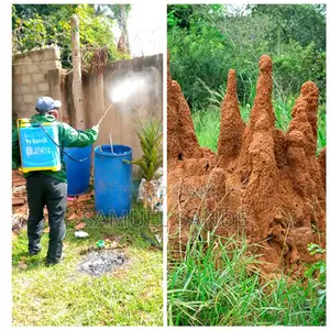 Ants and Termites Control