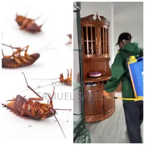 Cochroaches Fumigation and Control
