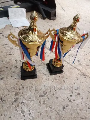 Sports Trophies Gold Original Material