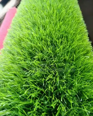 Grass Carpet(Artificial Grass Carpet)