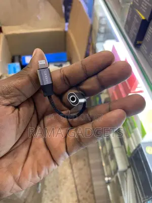iPhone to Aux Pin