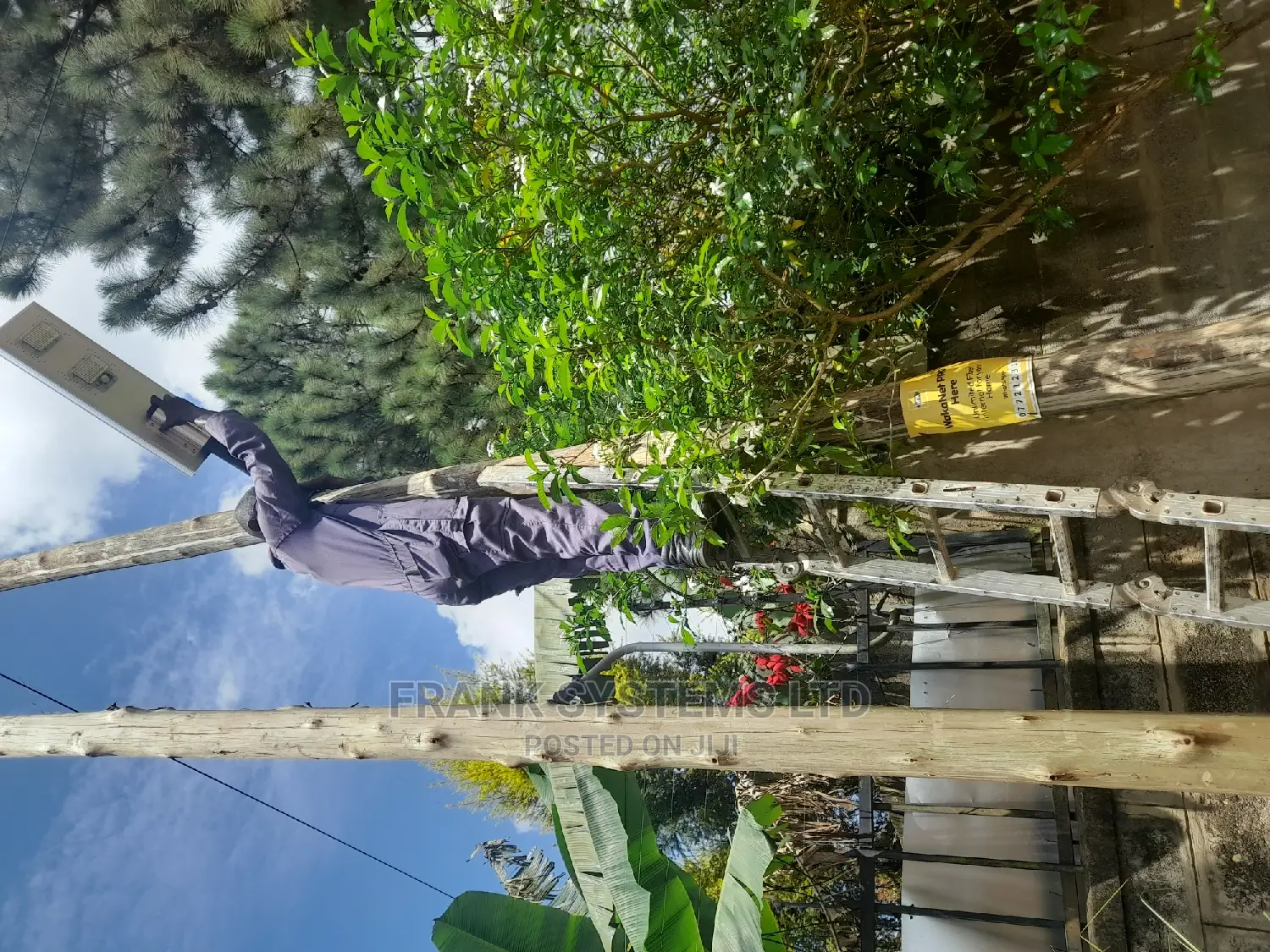 Stand Alone Solar Lights