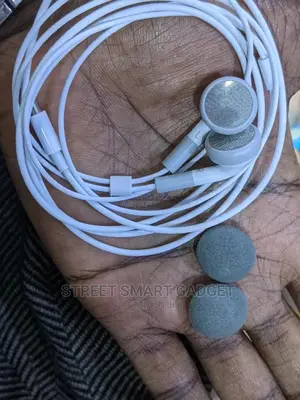 Sponge Earphones