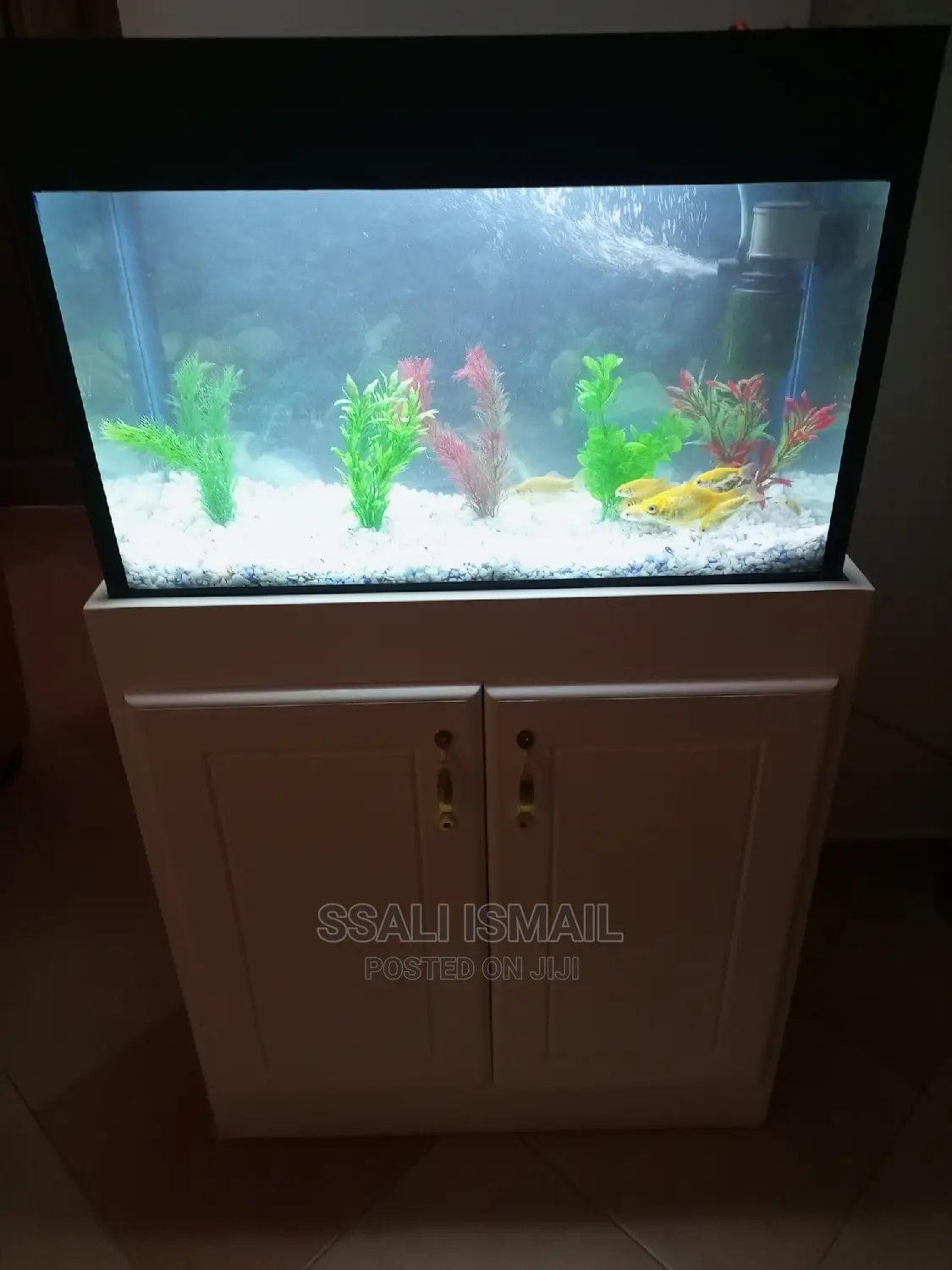 A Beautiful Aquarium Made by Experts