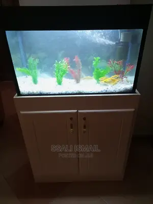 A Beautiful Aquarium Made by Experts