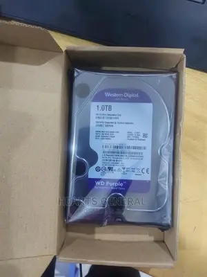 1TB Surveillance Hard Drive (Western Digital Brand)