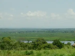 Northern Uganda Virgin Fertile Land Touching Rivernile(Amuru