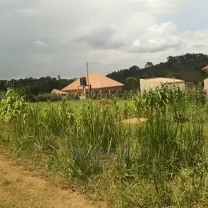 New Estate With Sweetplots at Give Away Price Kiwebwa Manze