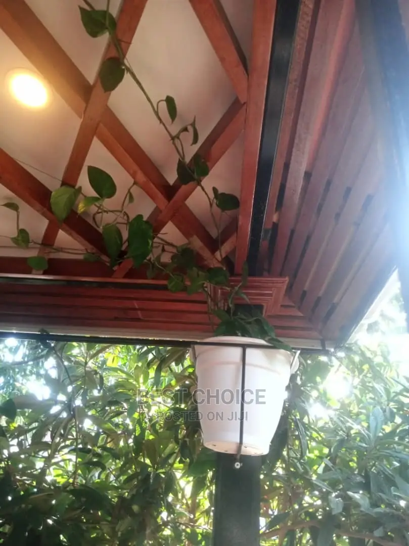 Gardening, Beautiful Plants, Land Scraping, Compound Designs