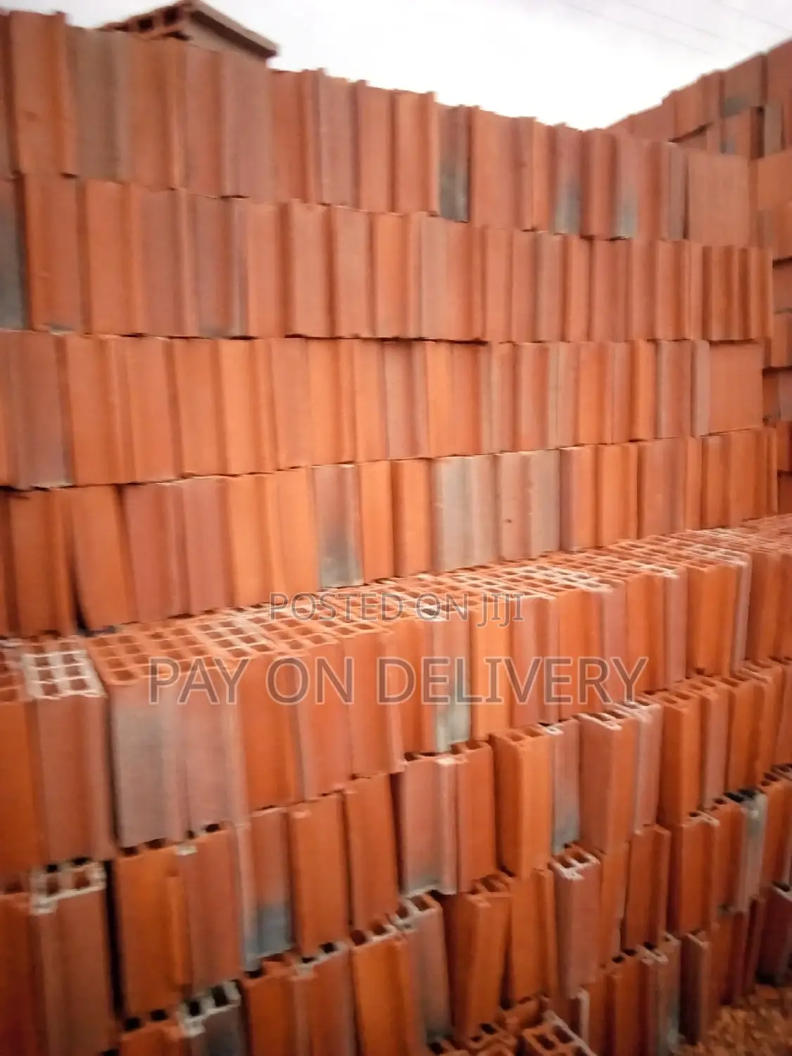 Build With Us( Max Pans)