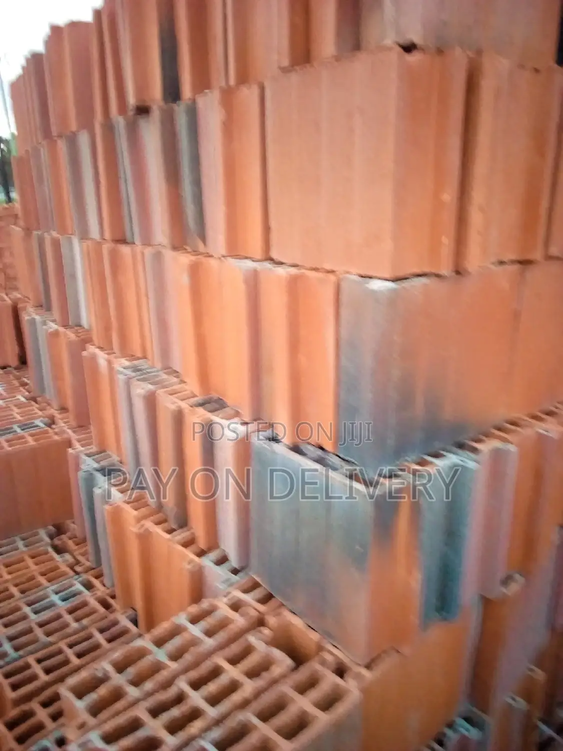 Build With Us( Max Pans)