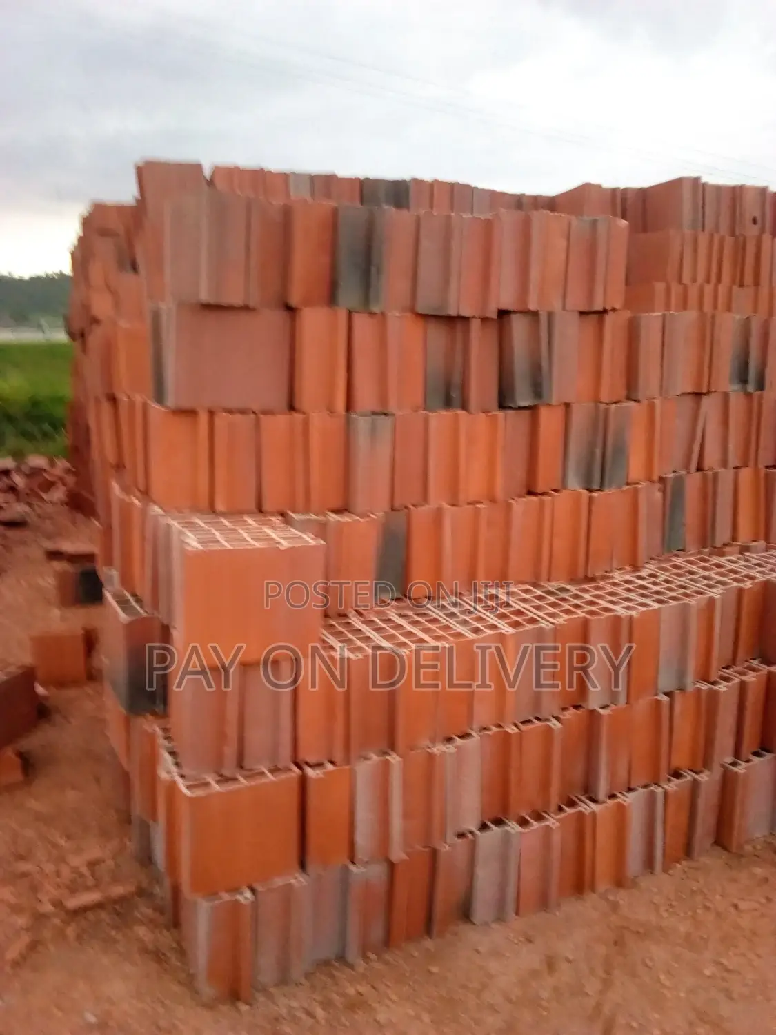 Build With Us( Max Pans)