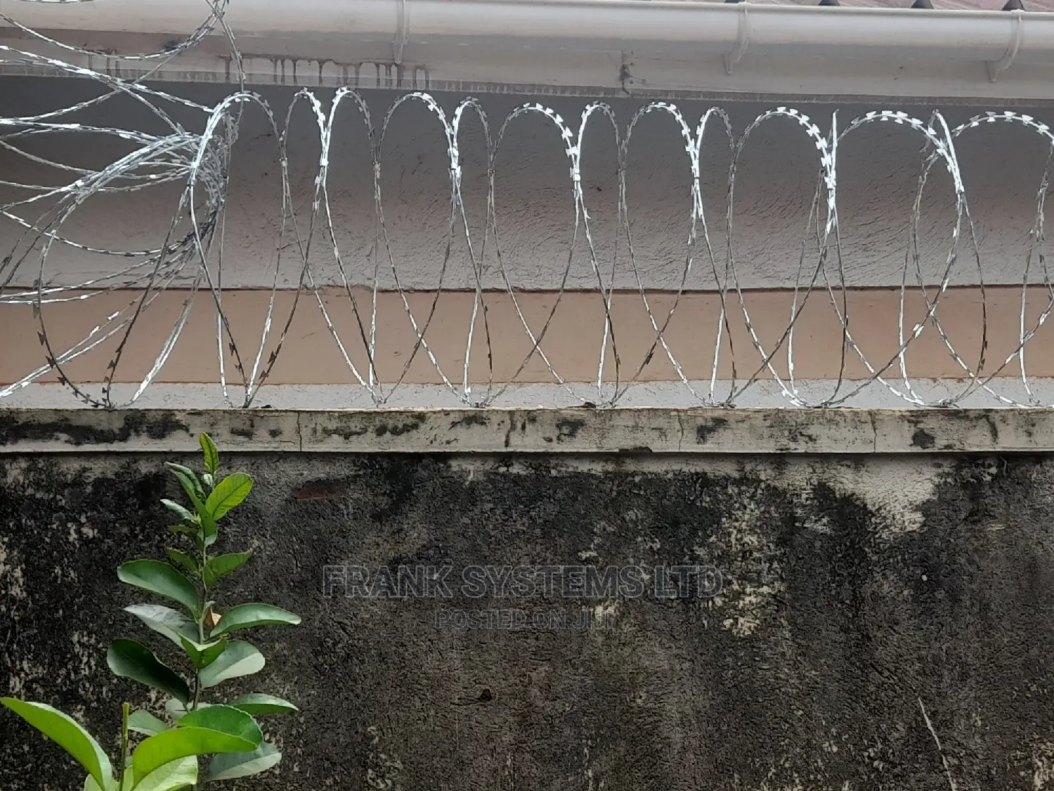 Razor Wire Fencing