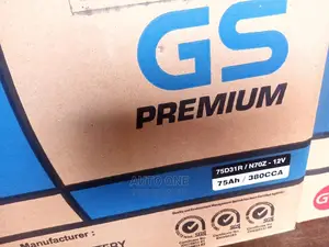 GS N70z-75ah Batteries