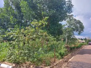 Commercial Plot on Sale 20 Decimals Located in Mukono