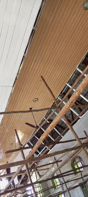 Pvc Ceiling Oficer