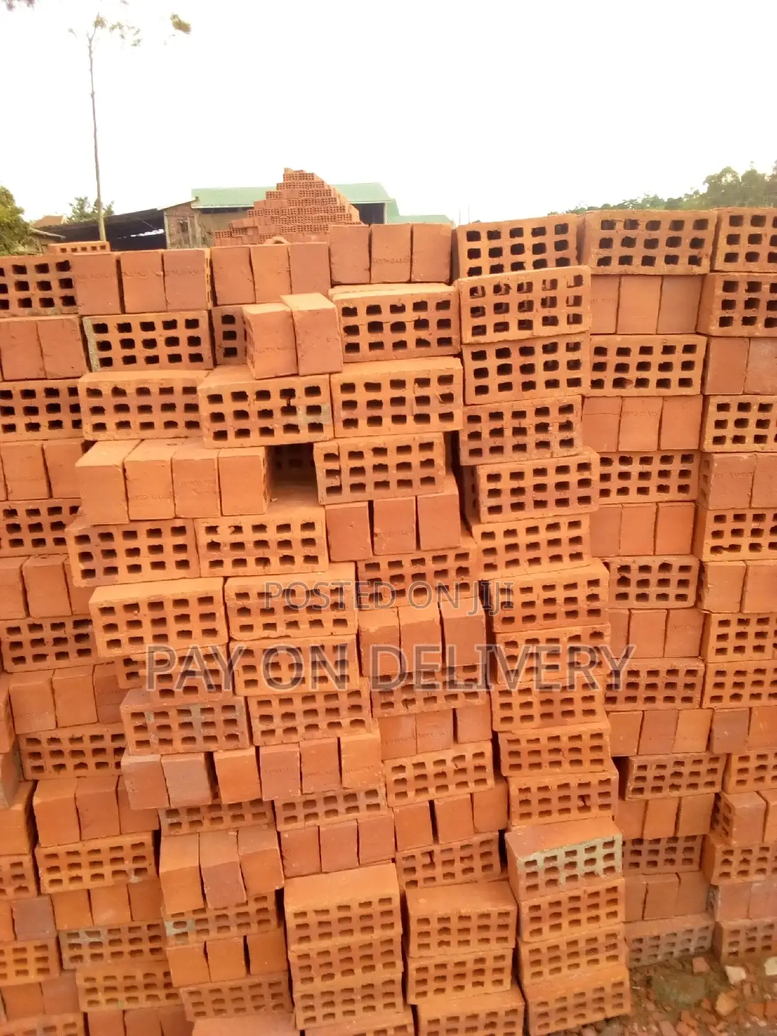 Environment Friendly (Selected Bricks)