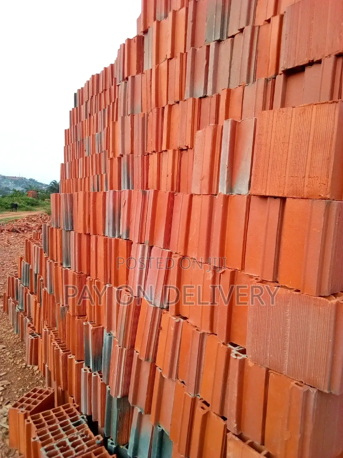 Environment Friendly (Max Pan Blocks)