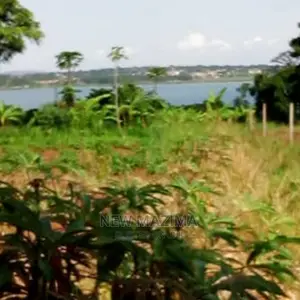 70 Decimals on Quicksale in Kawuku Ntebe Rd Lake Viewing