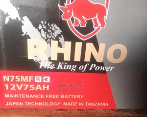 N70z-75ah Rhino Batteries.