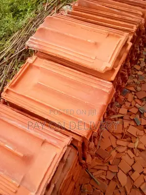 Eco Friendly Roofs(Clay Roof Tiles)