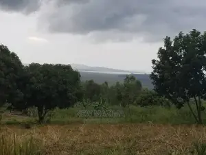 Full Acre Over Looking Into Lake on Quicksale in Nakawuka