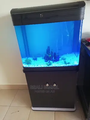 Simple and Precise Black Aquarium