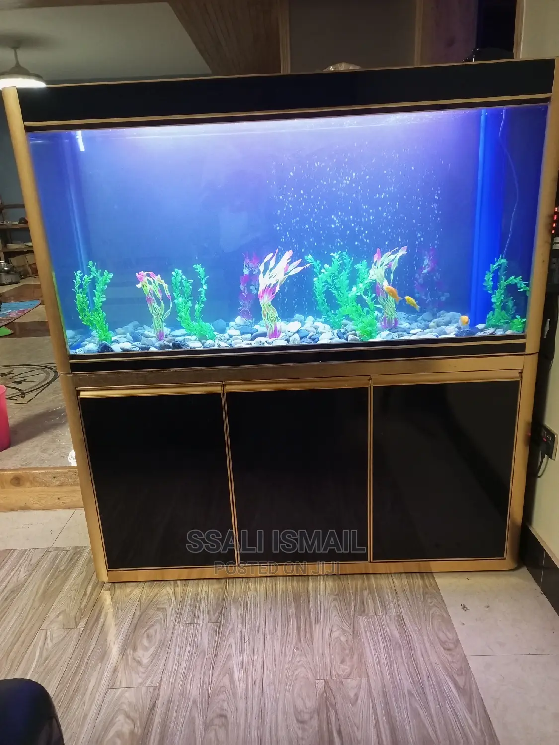 Really Attractive With Durable Material and Propet Set Up