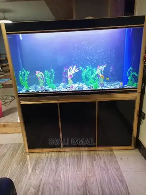 Really Attractive With Durable Material and Propet Set Up