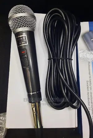 Sony Dynamic Microphone
