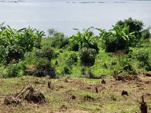 Land for Sale in Mukono Mpata Touching Lake