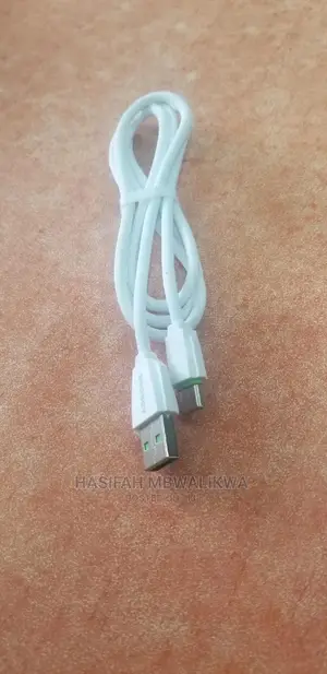 Type C Data Cable