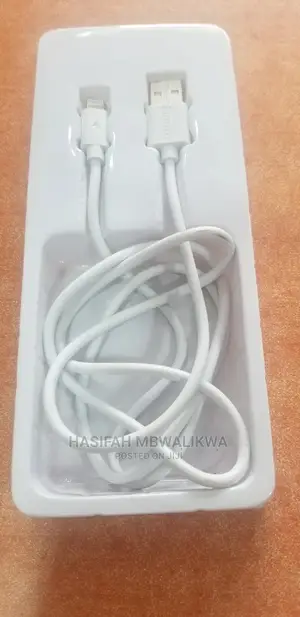 iPhone Data Cable