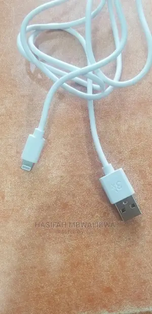 iPhone Data Cable
