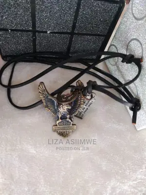 Dog Tags Available